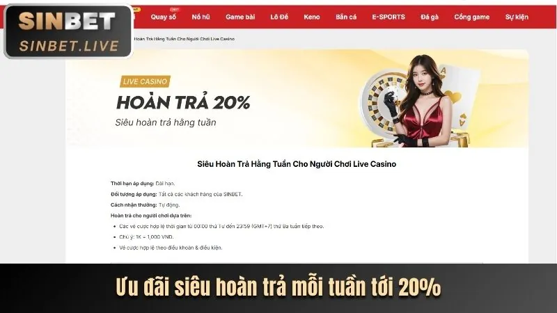 Tổng quan các trò chơi phổ biến